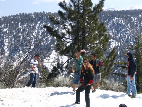 1995 Ford Probe - A group of people are gathered in a snowy mountain landscape, with a watermark visible at the bottom right.