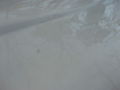 1995 Ford C-350 (Centurion Conversions) - Yet another crack.