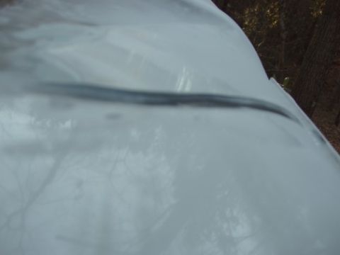 1995 Ford C-350 (Centurion Conversions) - Even though it's kinda blurry you get an idea as to how thick the bondo layer really was.