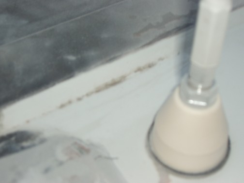 I must have had the bondo loving new guy because I had a strip of bondo running up the edge of every runner on the roof. There were displays of mildew on every one even just a week after giving the truck a bath in clorox.  This is from the bondo getting wet.