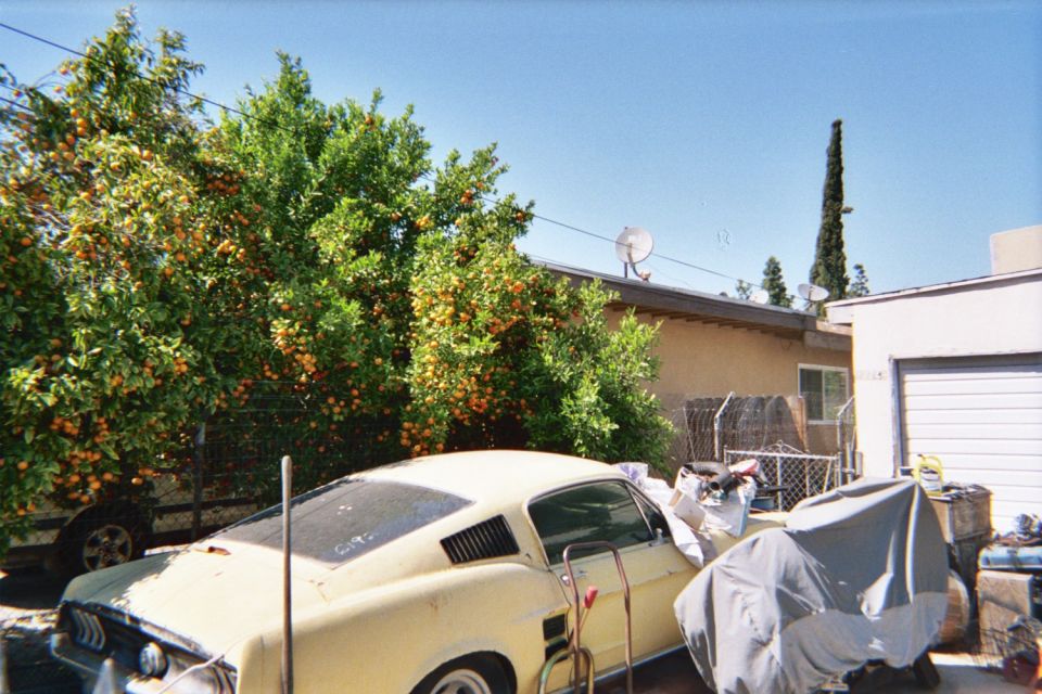 Yellow coupe with louvers on the rear quarter window parked in a yard with orange trees