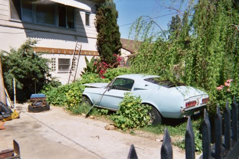 1968 Ford Mustang - A light blue coupe, possibly a 1967 model, sits partially hidden by overgrown foliage in a yard.