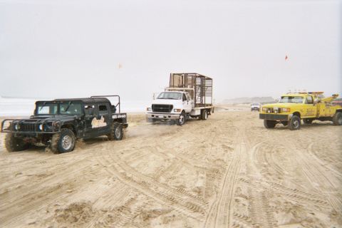 1990 Ford Bronco - black Hummer, a white flatbed truck with a cage, and a yellow tow truck gather on a fog-covered sandy beach.