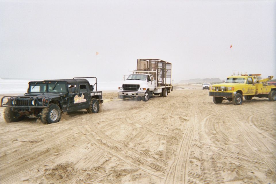 Black Hummer, white flatbed truck, and yellow tow truck on a foggy beach