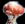 1968 Ford Mustang - A single mushroom with a distinct cap shape is pictured against a black backdrop.