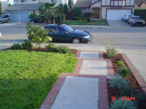 1993 Ford Taurus - March 16th, 2005.. Sunny California Afternoon..