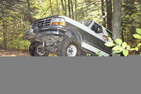 1995 Ford Bronco - This 1995 Ford Bronco is navigating a wooded trail and appears to be stuck.