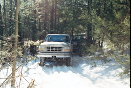 1995 Ford Bronco - A Ford Bronco navigates a snow-covered path surrounded by pine trees.