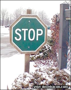 1968 Ford Mustang - A stop sign stands in a snowy landscape, with trees in the background.
