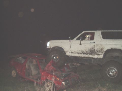 1989 Ford Bronco - A white SUV is crushing a red car. A dog is in the driver's seat of the SUV.