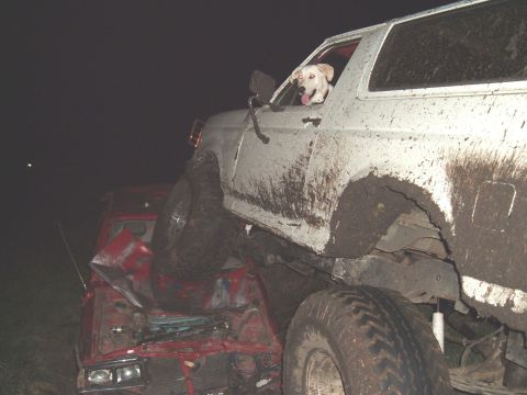 1989 Ford Bronco - A white SUV is driven over a red car, with a dog looking out the window.