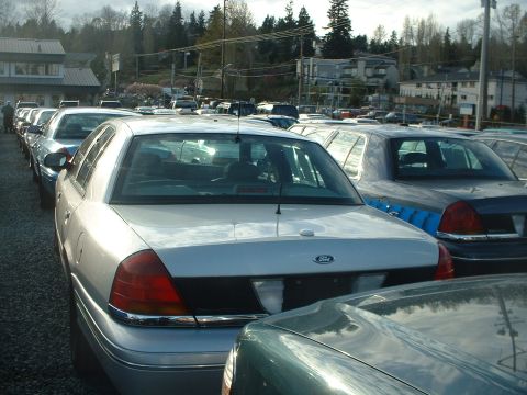 1999 Ford Crown Victoria - Several Ford Crown Victoria sedans are parked in a lot under an overcast sky.