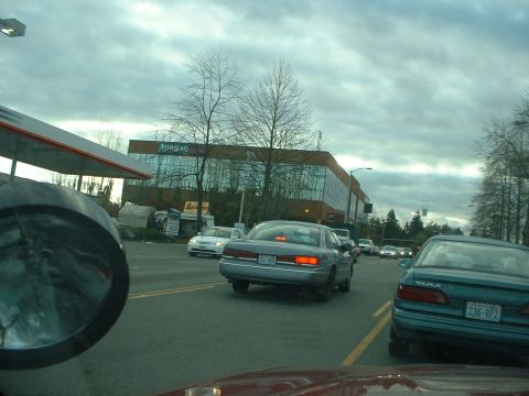 1999 Ford Crown Victoria - A 1999 Ford Crown Victoria is seen from behind in traffic on a cloudy day, with a teal Ford Taurus to its right.