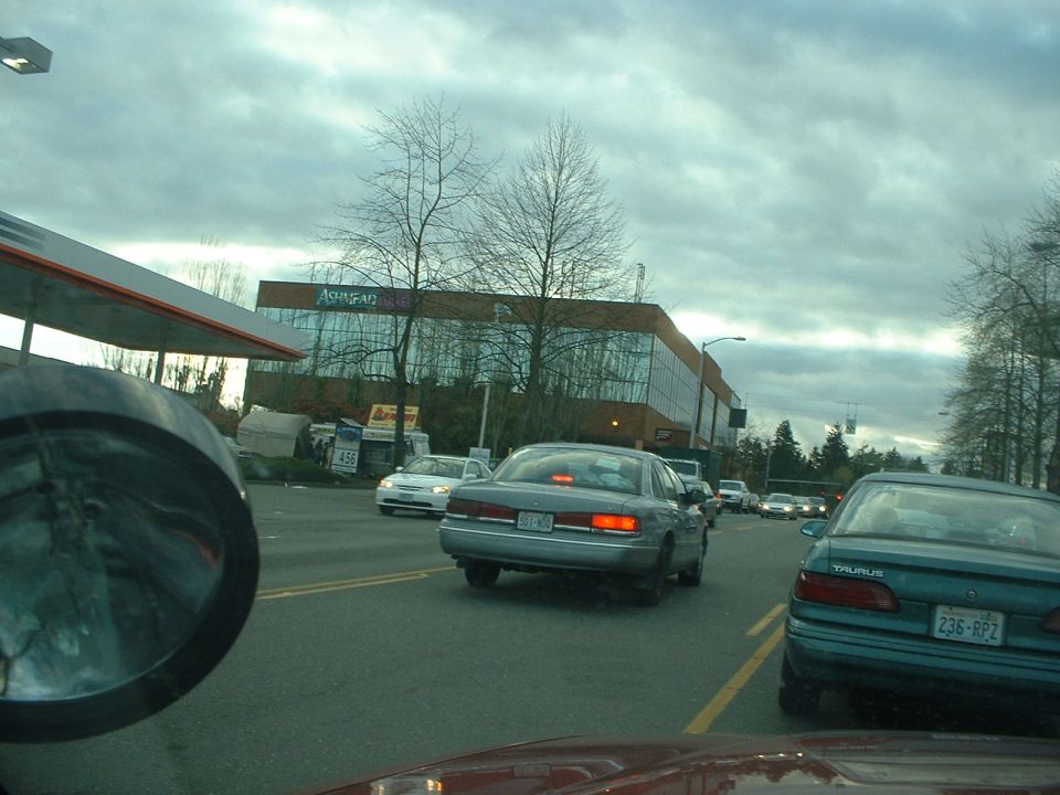 Rear view of a 1999 Ford Crown Victoria with taillights illuminated