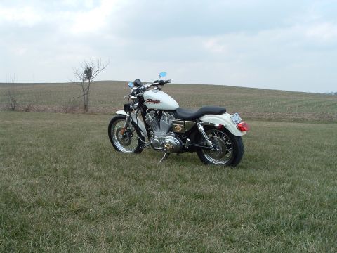 1995 Mercury Grand Marquis - A white Harley-Davidson motorcycle is parked in a field under a cloudy sky.