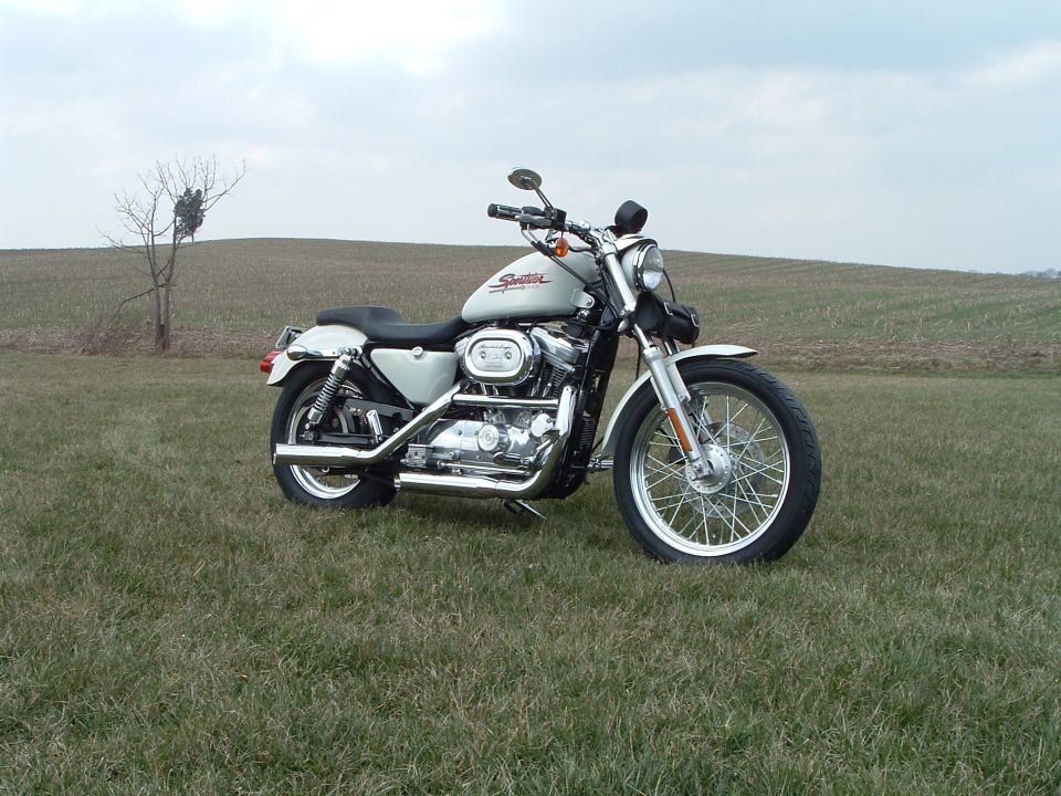 White Harley-Davidson Sportster motorcycle parked on grass with a bare tree in the background