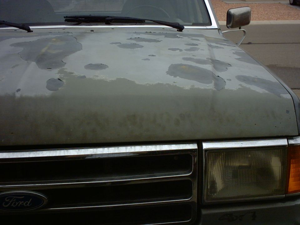 Ford Bronco hood with peeling paint and a Ford emblem on the grille