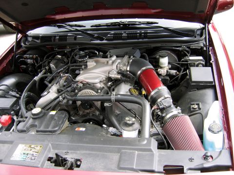 2000 Ford Crown Victoria - The engine bay of a car features a V8 engine with a prominent red cold air intake system.