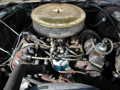 1979 Ford Bronco - Engine