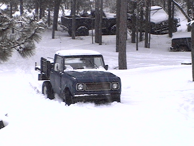 Snow-covered blue International Scout half-cab parked in a snowy pine forest