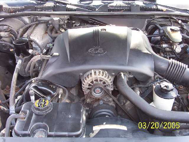 Engine bay with black plastic covers, hoses, and a radiator cap. Date stamp 03/20/2005