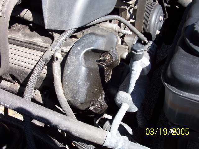 Engine bay detail with hoses and belts, timestamp 03/19/2005