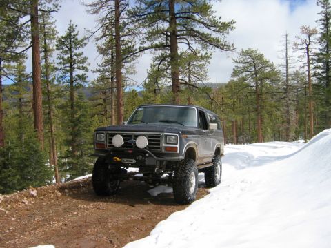 1985 Ford Bronco - A lifted Ford Bronco navigates a snowy path through a pine forest.
