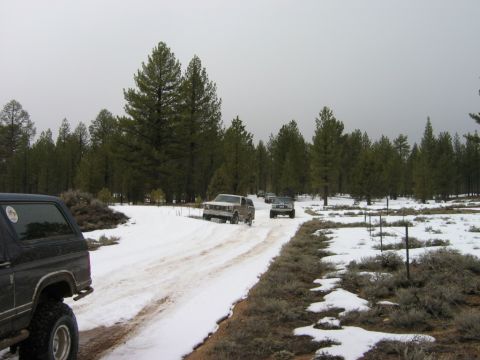 1985 Ford Bronco - A convoy of Ford Broncos navigates a snowy trail through a pine forest.