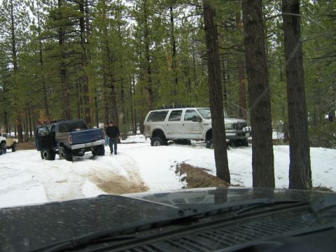 1985 Ford Bronco - A white SUV with a roof rack is parked in a snowy wooded area, with other vehicles visible.
