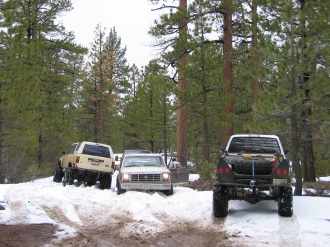 1985 Ford Bronco - Off-road vehicles tackle a snowy path through a forest, with one truck a spare tire mounted in its bed.