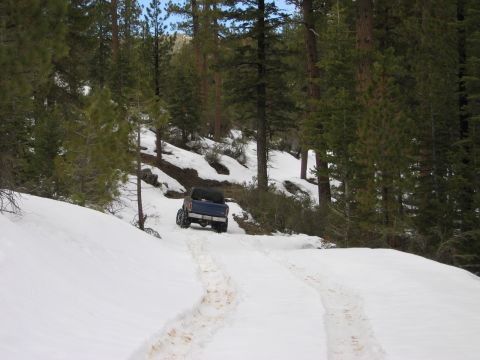 1985 Ford Bronco - A blue 1985 Ford Bronco navigates a snowy forest road, leaving tire tracks behind.