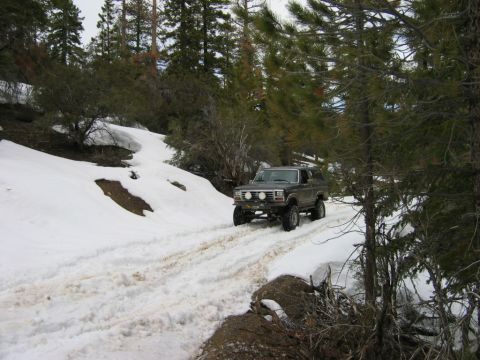 1985 Ford Bronco - A Ford Bronco navigates a snow-covered path through a wooded area.