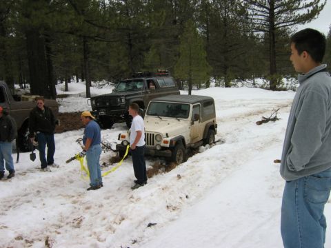 1985 Ford Bronco - Several people and vehicles are in a snowy, wooded area, with one Jeep appearing stuck.