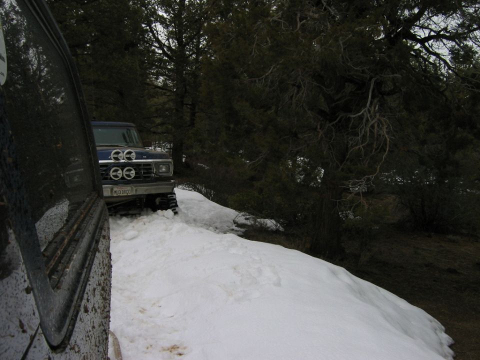 Blue and white Ford Bronco with quad headlights parked in snow among pine trees