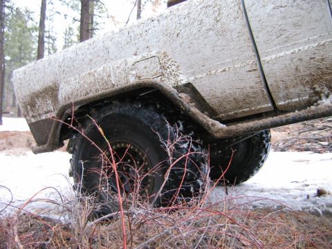 1985 Ford Bronco - Mud-splattered SUV rear quarter panel and tire in snowy woods, with a watermark for Supermotors.net.