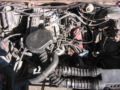 1985 Ford Bronco - Full shop of the EFI installed. It's a little messier then the Carb set up I had. But I think I'll deal with it.