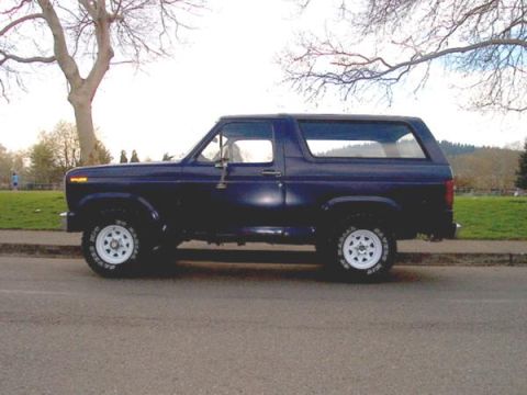 1982 Ford Bronco photo