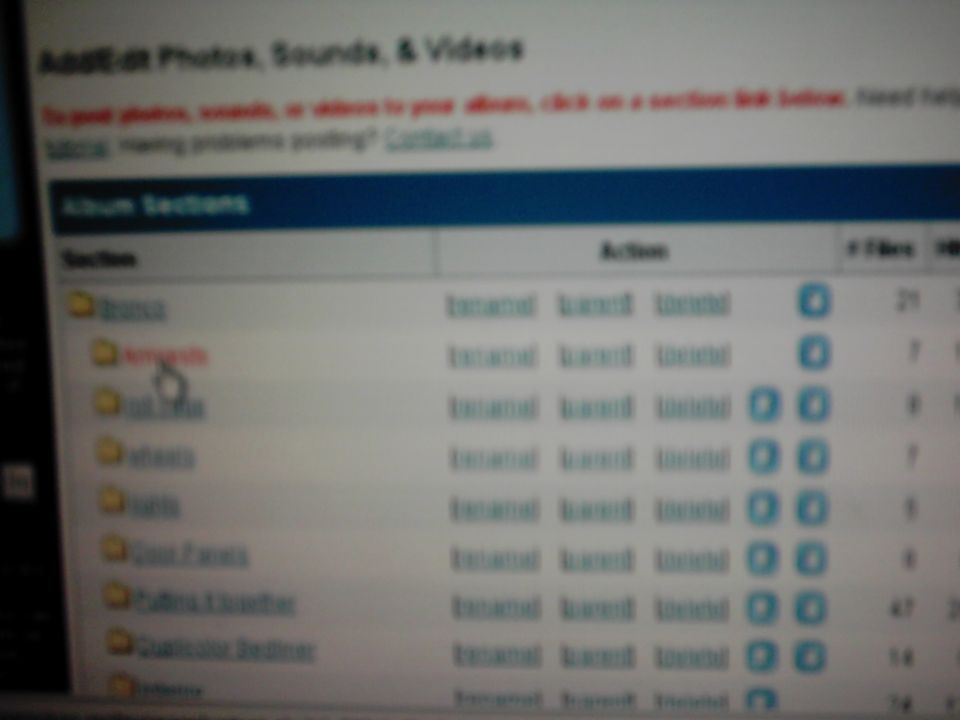 Computer screen displaying a web page with album sections and file management options