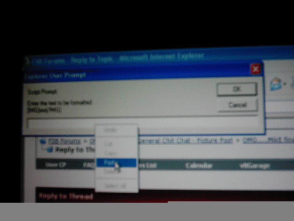 Computer screen displays Internet Explorer with a 'Scope Prompt' dialog box and a context menu open