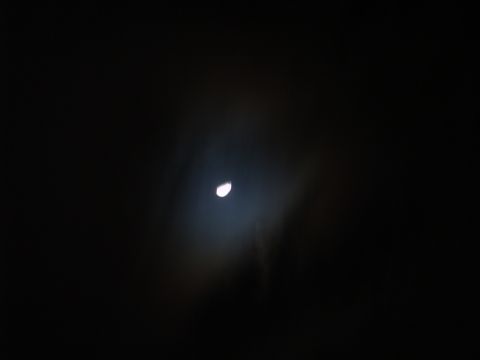 1988 Ford Bronco - Night sky scene with the moon visible through clouds, Supermotors.net branding present.