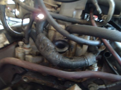 1989 Ford Crown Victoria LTD - Engine bay detail with various hoses and electrical wiring visible.