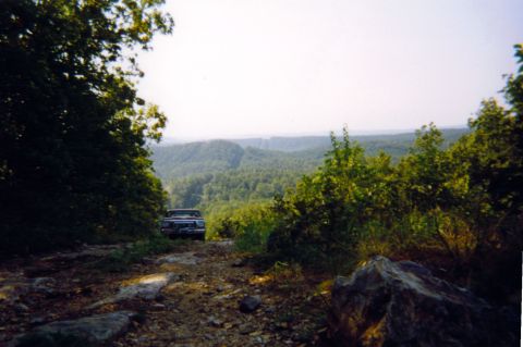 1979 Ford Bronco photo