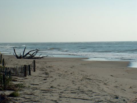 1998 Ford Taurus - A beach scene with driftwood on the sand and waves in the ocean.