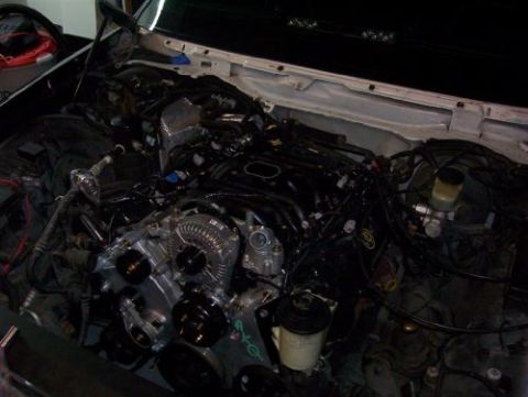 2000 Ford Crown Victoria - Engine bay with various components and wiring, showing the engine itself.