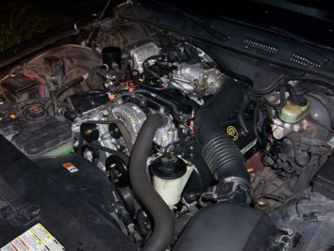 2000 Ford Crown Victoria - The engine bay is shown with various components and hoses visible.