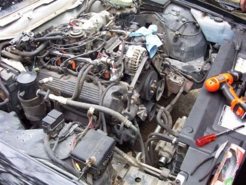 2000 Ford Crown Victoria - Tools are laid out next to a car's engine, suggesting maintenance or repair work is in progress.