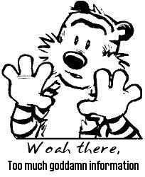 1996 Ford Bronco - Black-and-white cartoon graphic of a startled tiger character holding up both hands, captioned "Woah there, Too much goddamn information."…