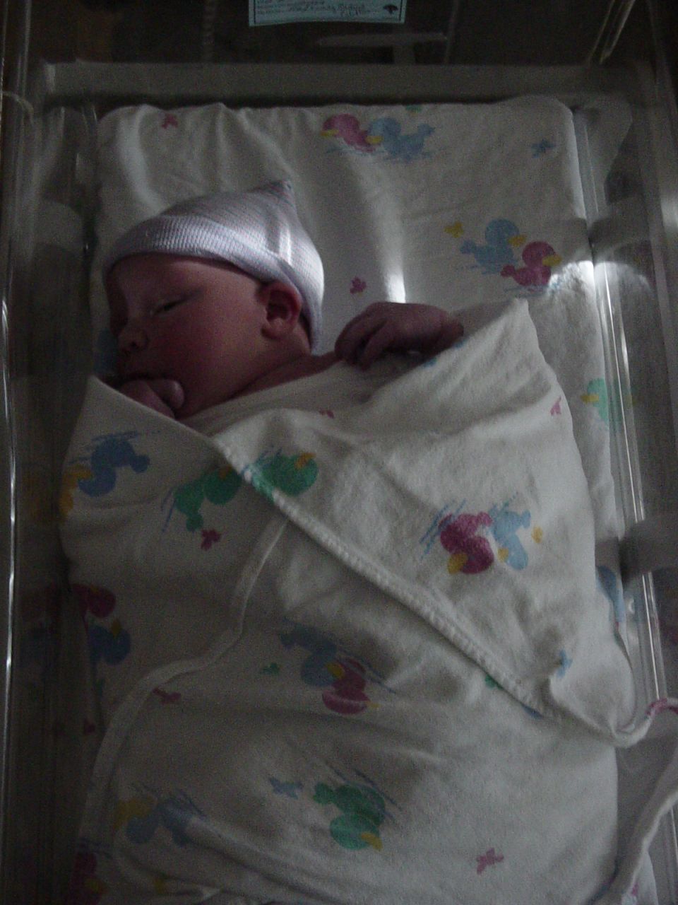 Newborn baby in a hospital bassinet wearing a cap