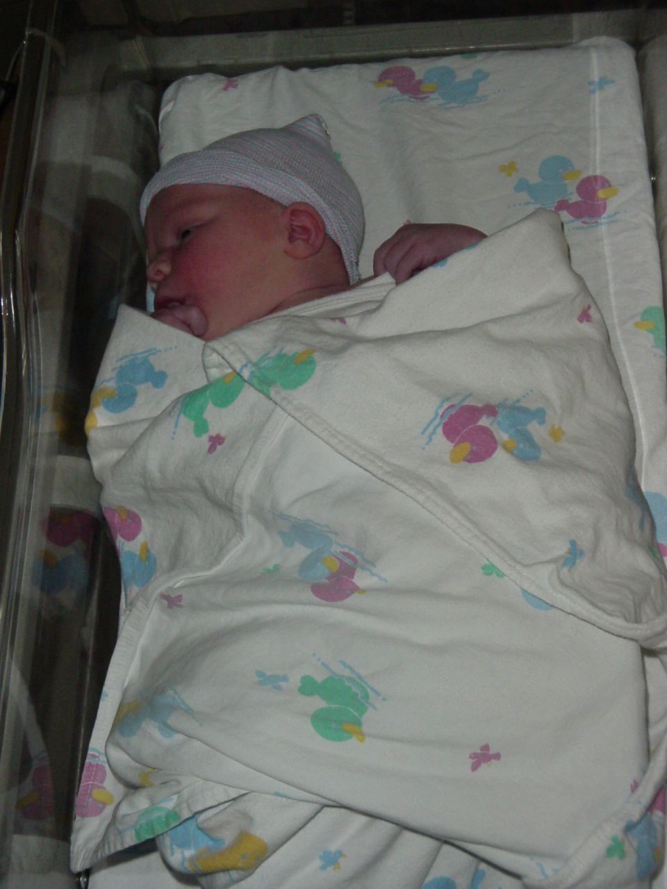 newborn baby wrapped in a blanket with ducklings and bunnies