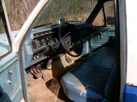 1980 Ford F-150 photo